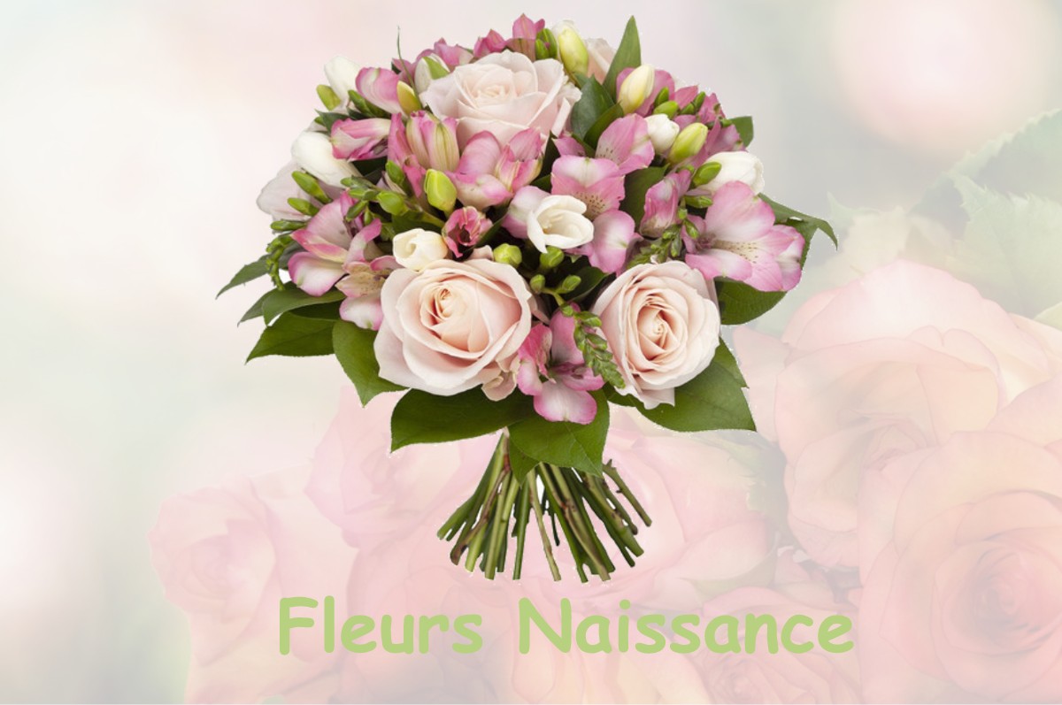 fleurs naissance PLAISANCE-DU-TOUCH