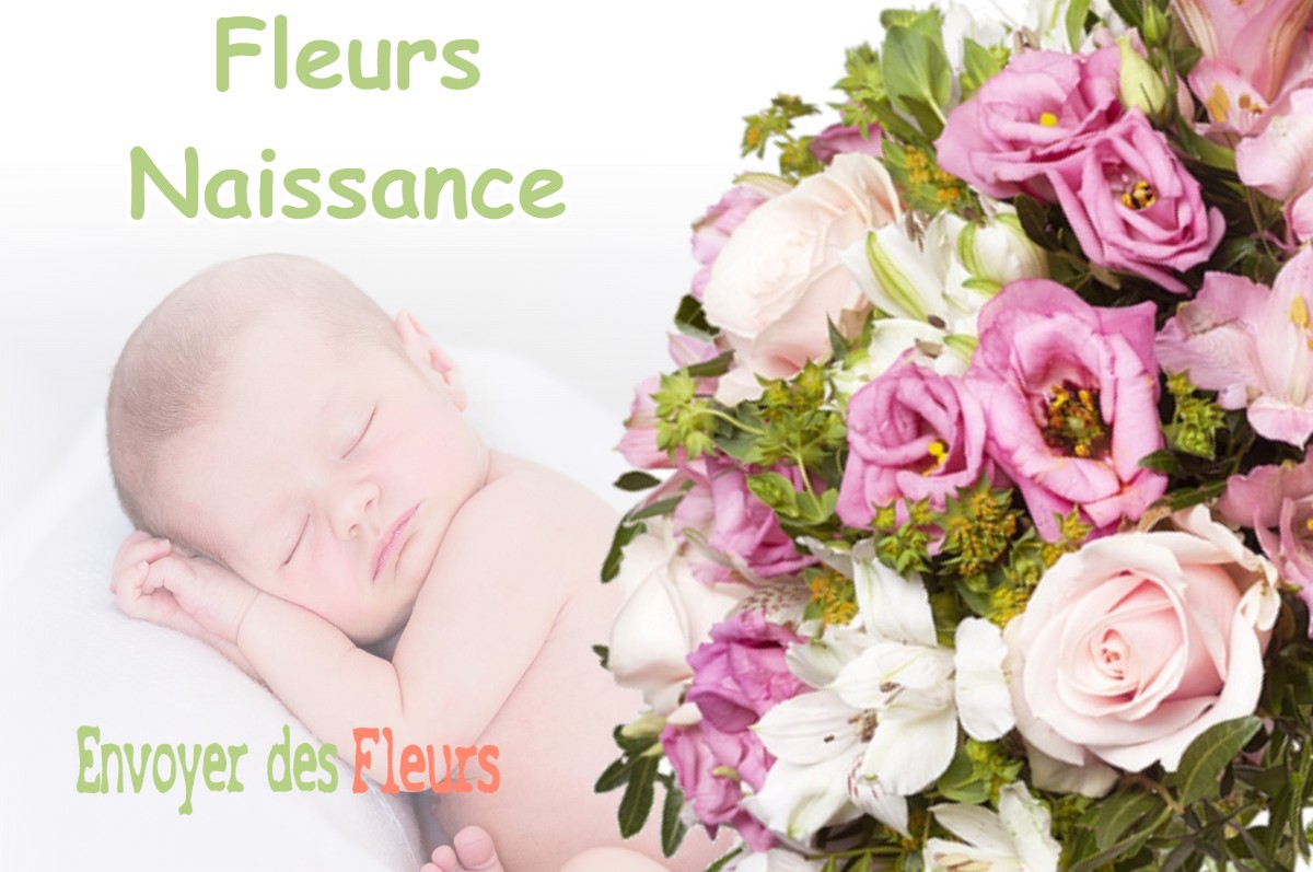 lIVRAISON FLEURS NAISSANCE à PLAISANCE-DU-TOUCH